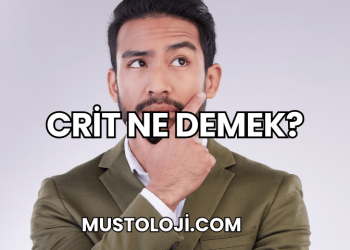 Crit Ne Demek?