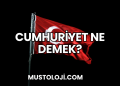 Cumhuriyet Ne Demek?