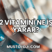 F2 Vitamini Ne İşe Yarar?
