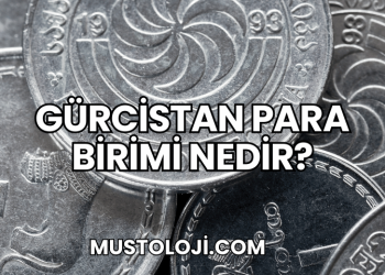 Gürcistan Para Birimi Nedir?