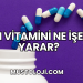 H Vitamini Ne İşe Yarar?