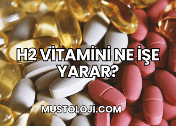 H2 Vitamini Ne İşe Yarar?