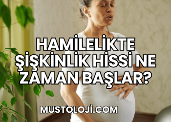 Hamilelikte Şişkinlik Hissi Ne Zaman Başlar?