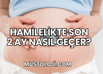 Hamilelikte Son 2 Ay Nasıl Geçer?