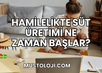 Hamilelikte Süt Üretimi Ne Zaman Başlar?