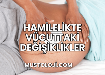 Hamilelikte Vücuttaki Değişiklikler