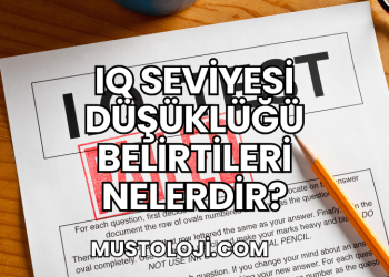 IQ Seviyesi Düşüklüğü Belirtileri Nelerdir?