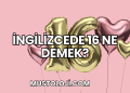 İngilizcede 16 Ne Demek?