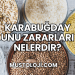 Karabuğday Unu Zararları Nelerdir?