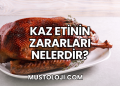 Kaz Etinin Zararları Nelerdir?