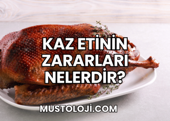 Kaz Etinin Zararları Nelerdir?