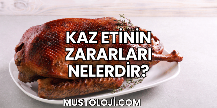 Kaz Etinin Zararları Nelerdir?