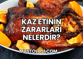 Kaz Etinin Zararları Nelerdir?