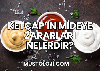 Ketçap'ın Mideye Zararları Nelerdir?