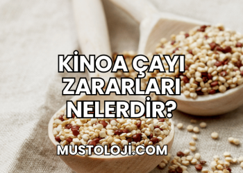 Kinoa Çayı Zararları Nelerdir?