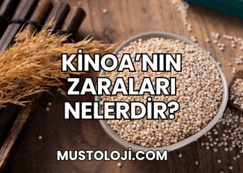 Kinoa'nın Zararları Nelerdir?