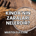Kinoa'nın Zararları Nelerdir?