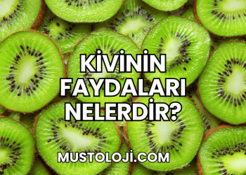 Kivinin Faydaları Nelerdir?