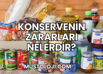Konservenin Zararları Nelerdir?
