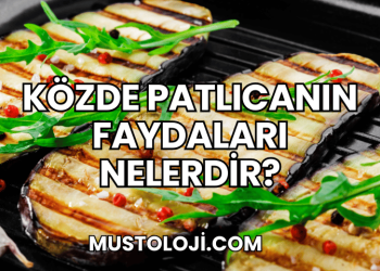 Közde Patlıcanın Faydaları Nelerdir?