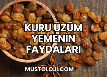 Kuru Üzüm Yemenin Faydaları