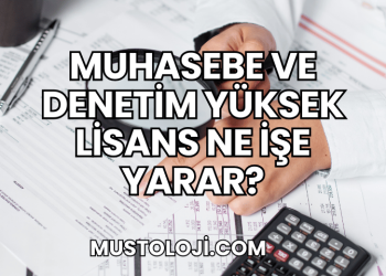 Muhasebe ve Denetim Yüksek Lisans Ne İşe Yarar?