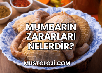 Mumbarın Zararları Nelerdir?