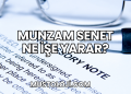 Munzam Senet Ne İşe Yarar?