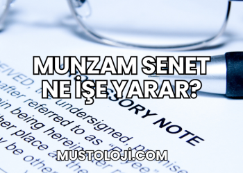 Munzam Senet Ne İşe Yarar?