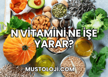 N Vitamini Ne İşe Yarar?