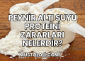Peynir Altı Suyu Proteini Zararları Nelerdir?