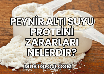 Peynir Altı Suyu Proteini Zararları Nelerdir?