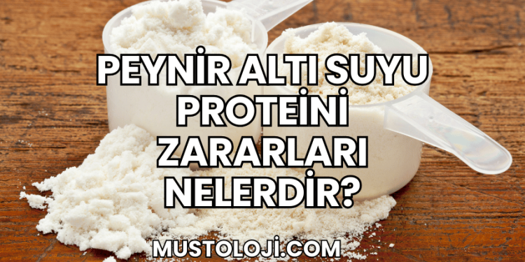 Peynir Altı Suyu Proteini Zararları Nelerdir?