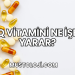 Q Vitamini Ne İşe Yarar?