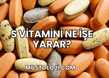 S Vitamini Ne İşe Yarar?