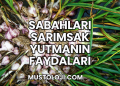 Sabahları Sarımsak Yutmanın Faydaları