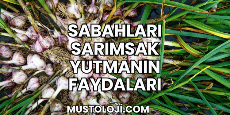 Sabahları Sarımsak Yutmanın Faydaları