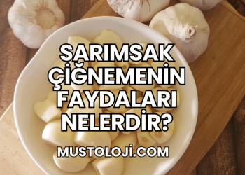 Sarımsak Çiğnemenin Faydaları Nelerdir?