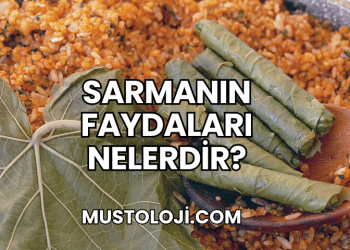 Sarmanın Faydaları Nelerdir?