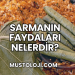 Sarmanın Faydaları Nelerdir?