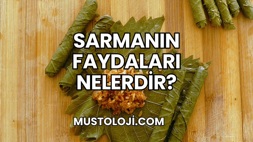 Sarmanın Faydaları Nelerdir?