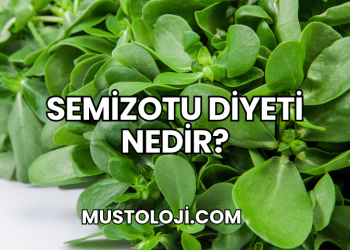 Semizotu Diyeti Nedir?