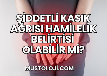 Şiddetli Kasık Ağrısı Hamilelik Belirtisi Olabilir mi?