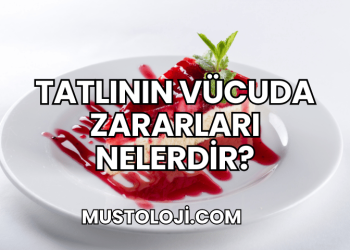 Tatlının Vücuda Zararları Nelerdir?