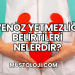 Venöz Yetmezliği Belirtileri Nelerdir?