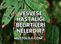 Vesvese Hastalığı Belirtileri Nelerdir?