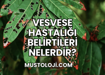 Vesvese Hastalığı Belirtileri Nelerdir?