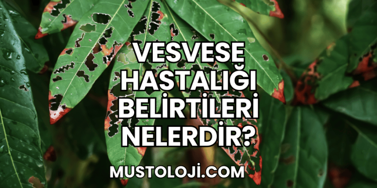 Vesvese Hastalığı Belirtileri Nelerdir?