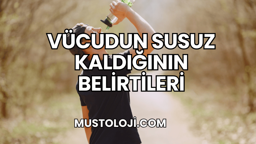 Vücudun Susuz Kaldığının Belirtileri
