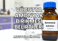 Vücutta Amonyak Birikmesi Belirtileri